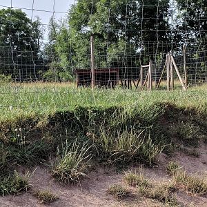 Mixed Domestic Species Paddock