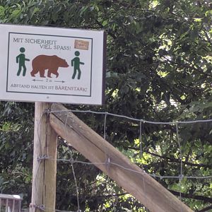 Covid 19 Signage Keep a Bear length apart