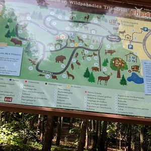 Tripsdrill Wildlife Current Zoo Map 2021