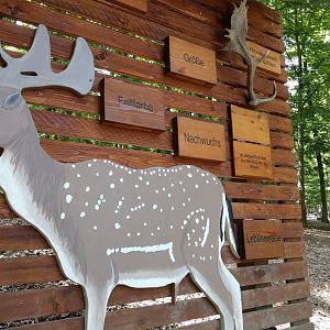 Fallow Deer Education Signage