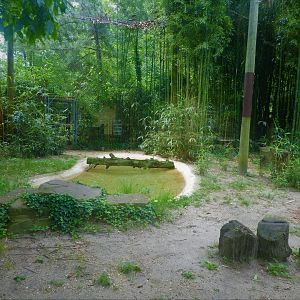 Leopard Exhibit