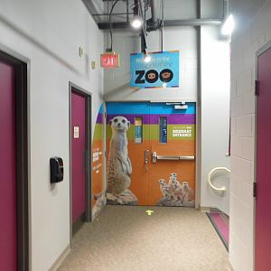 Discovery Zoo - Meerkat Entrance - Sep. 2020