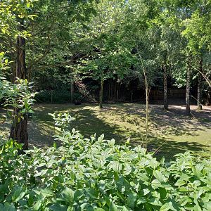 Part of the Tapir - Capybara enclosure