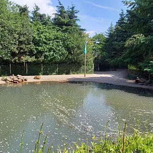 Part of the Tapir - Capybara enclosure