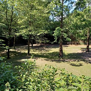 Part of the Tapir - Capybara enclosure