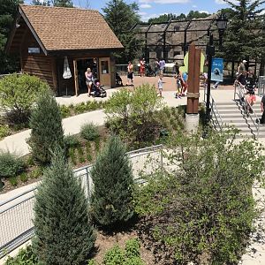 New Como Harbor- Pathway to underwater viewing