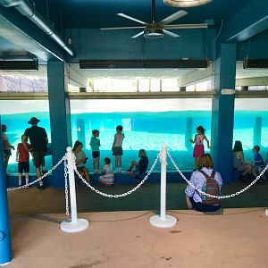 New Como Harbor- underwater viewing shelter