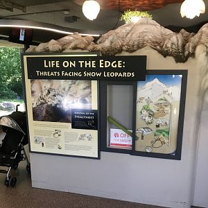 Large Cats- interpretive display