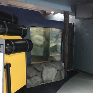 Aquatics Building- future tank