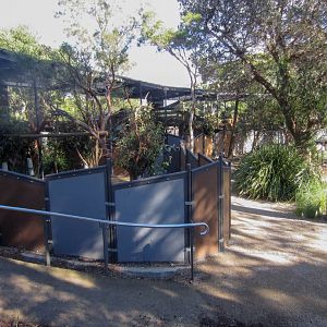 Koala Encounters MkII