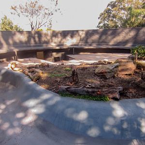 Former Spider Monkey enclosure