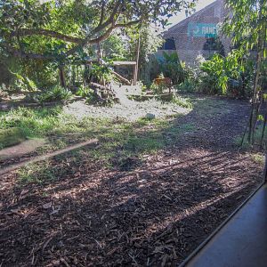 Sumatran Tiger enclosure