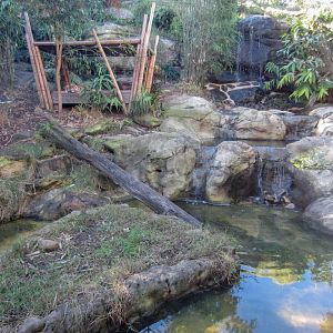 Sumatran Tiger enclosure