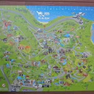 Zoo Map