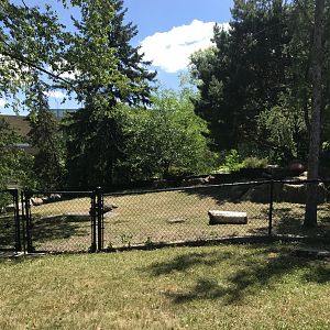 Bird garden- Galapagos tortoises exhibit