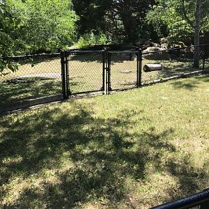 Bird Garden- Galapagos tortoises exhibit
