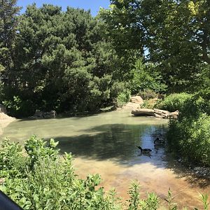 Bird garden- Side exhibit