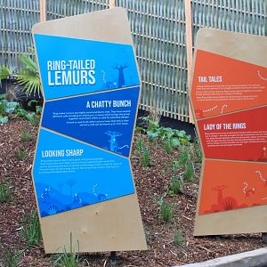 Signage for Ring-tailed Lemurs