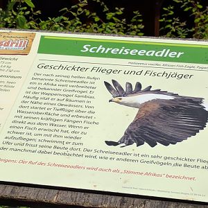 Signage African Fish Eagle