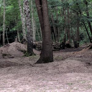 Inside the Muntjak Walkthrough