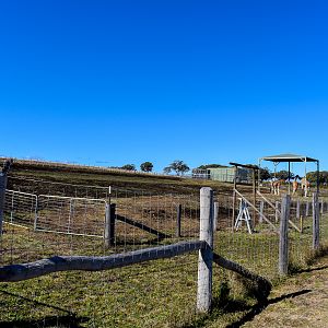 Giraffe/Addax Enclosure