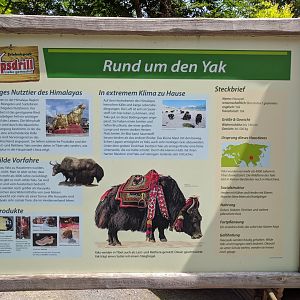 Yak Signage