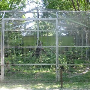 Persian leopard enclosure
