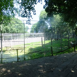 The bigger hyena enclosure