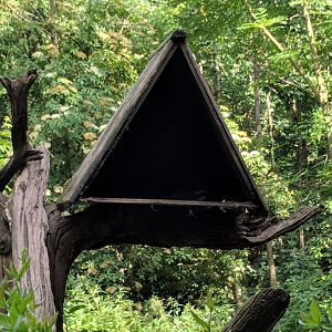 Racoon Shelter