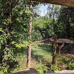 Arctic Wolf Enclosure