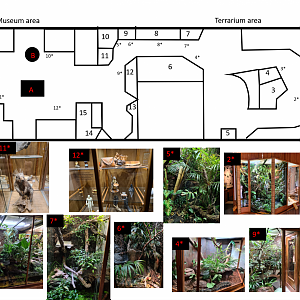 Map of 100.000 animal house (Only roughly scaled)