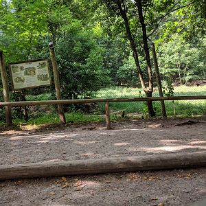 Gray Wolf Viewing Area and Enclosure