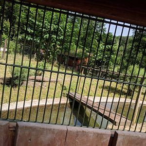 New 2018 River Otter Enclosure