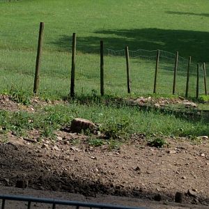 European Wild Boar Enclosure in the foreground and Deer Valley in the Background