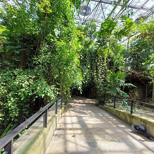 Walkthrough Metzelaarkas 2021