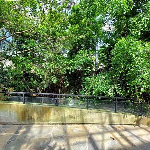 Walkthrough Metzelaarkas 2021