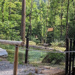 New 2018 River Otter Enclosure