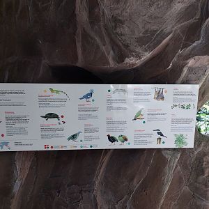 Metzelaarkas Species List 2021