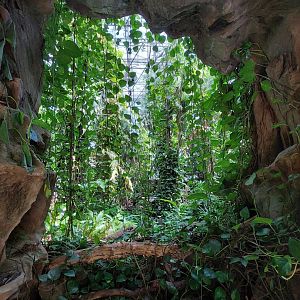 Walkthrough Metzelaarkas 2021