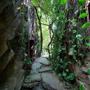 Walkthrough Metzelaarkas 2021