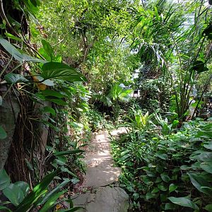 Walkthrough Metzelaarkas 2021