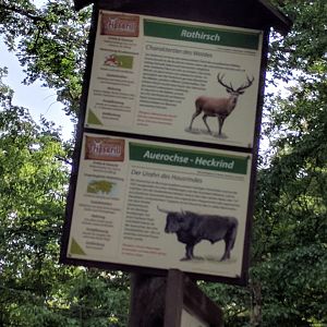 Deer Valley Signage