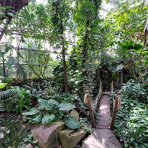 Walkthrough Metzelaarkas 2021