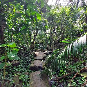 Walkthrough Metzelaarkas 2021