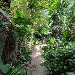 Walkthrough Metzelaarkas 2021