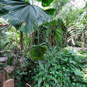 Walkthrough Metzelaarkas 2021