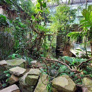 Walkthrough Metzelaarkas 2021