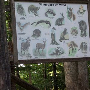 Native Mammals Signage