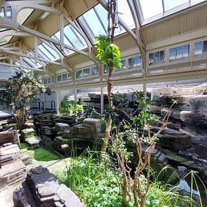 Bird House, Indoor Inca Tern Exhibit