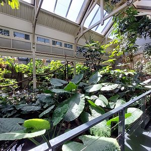 Bird House, Indoor Tropical Exhibit